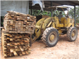 Sawn Timber 